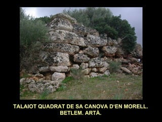 TALAIOT QUADRAT DE SA CANOVA D‘EN MORELL. 
BETLEM. ARTÀ. 
 