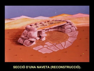 SECCIÓ D’UNA NAVETA (RECONSTRUCCIÓ). 
 