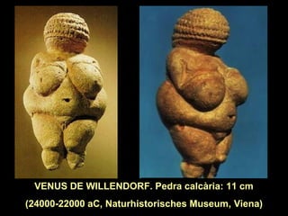 VENUS DE WILLENDORF. Pedra calcària: 11 cm 
(24000-22000 aC, Naturhistorisches Museum, Viena) 
 