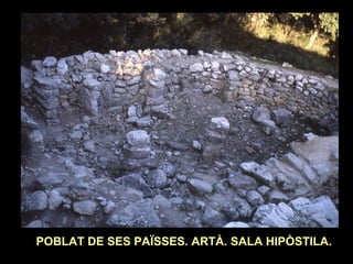 POBLAT DE SES PAÏSSES. ARTÀ. SALA HIPÒSTILA. 
 