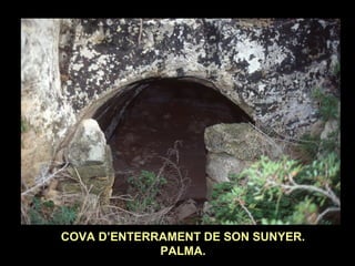 COVA D’ENTERRAMENT DE SON SUNYER. 
PALMA. 
 