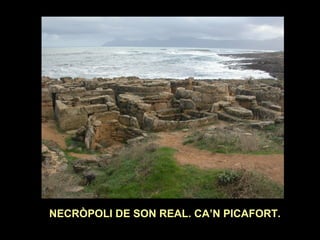 NECRÒPOLI DE SON REAL. CA’N PICAFORT. 
 