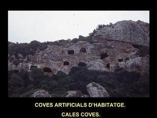 COVES ARTIFICIALS D’HABITATGE. 
CALES COVES. 
 