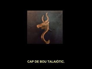 CAP DE BOU TALAIÒTIC. 
 
