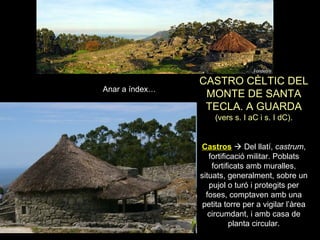 CASTRO CÈLTIC DEL 
MONTE DE SANTA 
TECLA. A GUARDA 
(vers s. I aC i s. I dC). 
Castros  Del llatí, castrum, 
fortificació militar. Poblats 
fortificats amb muralles, 
situats, generalment, sobre un 
pujol o turó i protegits per 
foses, comptaven amb una 
petita torre per a vigilar l’àrea 
circumdant, i amb casa de 
planta circular. 
Anar a índex… 
 