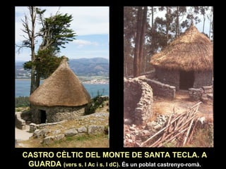 CASTRO CÈLTIC DEL MONTE DE SANTA TECLA. A 
GUARDA (vers s. I Ac i s. I dC). És un poblat castrenyo-romà. 
 