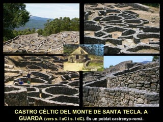 CASTRO CÈLTIC DEL MONTE DE SANTA TECLA. A 
GUARDA (vers s. I aC i s. I dC). És un poblat castrenyo-romà. 
 