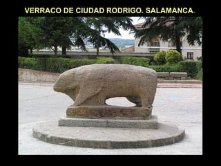 VERRACO DE CIUDAD RODRIGO. SALAMANCA. 
 
