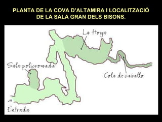PLANTA DE LA COVA D’ALTAMIRA I LOCALITZACIÓ 
DE LA SALA GRAN DELS BISONS. 
 
