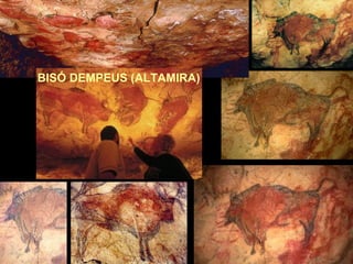 BISÓ DEMPEUS (ALTAMIRA) 
 
