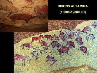BISONS ALTAMIRA 
(15000-12000 aC) 
 