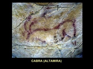 CABRA (ALTAMIRA) 
 