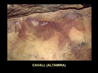 CAVALL (ALTAMIRA) 
 