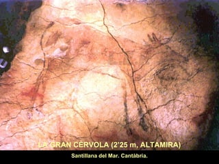 LA GRAN CÈRVOLA (2’25 m, ALTAMIRA) 
Santillana del Mar. Cantàbria. 
 