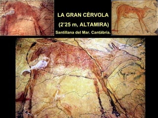 LA GRAN CÈRVOLA 
(2’25 m, ALTAMIRA) 
Santillana del Mar. Cantàbria. 
 