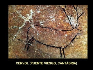 CÈRVOL (PUENTE VIESGO, CANTÀBRIA) 
 