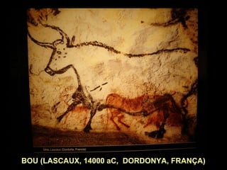 BOU (LASCAUX, 14000 aC, DORDONYA, FRANÇA) 
 