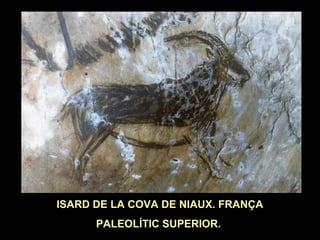 ISARD DE LA COVA DE NIAUX. FRANÇA 
PALEOLÍTIC SUPERIOR. 
 