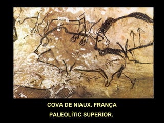 COVA DE NIAUX. FRANÇA 
PALEOLÍTIC SUPERIOR. 
 