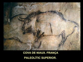 COVA DE NIAUX. FRANÇA 
PALEOLÍTIC SUPERIOR. 
 