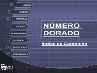 ORIGEN 
NÚMEROS 
PITÁGORAS 
FIBONACCI 
NÚMERO DORADO 
RECTÁNGULO 
PRPORCIONES 
CONCLUSIONES 
 
