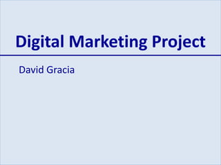 Digital Marketing Project 
David Gracia 
 