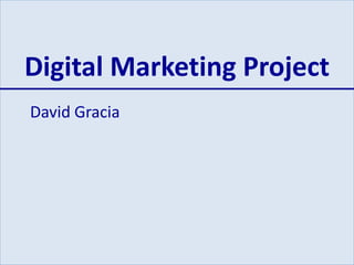Digital Marketing Project 
David Gracia 

