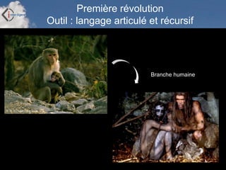 Inter-Ligere SARL - Site: inter-ligere.fr
Première révolution
Outil : langage articulé et récursif
Branche humaine
 