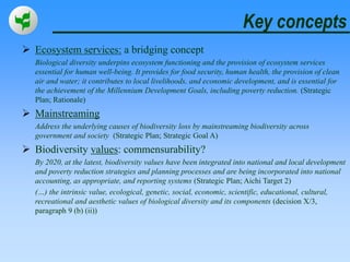 The work of the CBD on Biodiversity and Sustainable Development ...