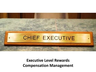 Executive Level Rewards
Compensation Management
 