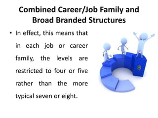 Combined Career/Job Family and
Broad Branded Structures
• In effect, this means that
in each job or career
family, the levels are
restricted to four or five
rather than the more
typical seven or eight.
 