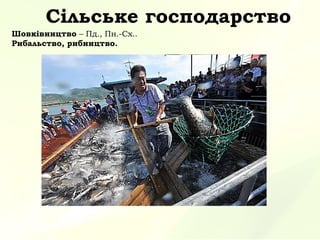 Сільське господарство
Шовківництво – Пд., Пн.-Сх..
Рибальство, рибництво.
 