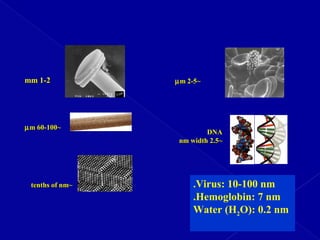 ~~tenths of nmtenths of nm
1-21-2mmmm ~~2-52-5µµmm
DNADNA
~~2.52.5nm widthnm width
~~60-10060-100µµmm
Virus: 10-100 nm.
Hemoglobin: 7 nm.
Water (H2O): 0.2 nm