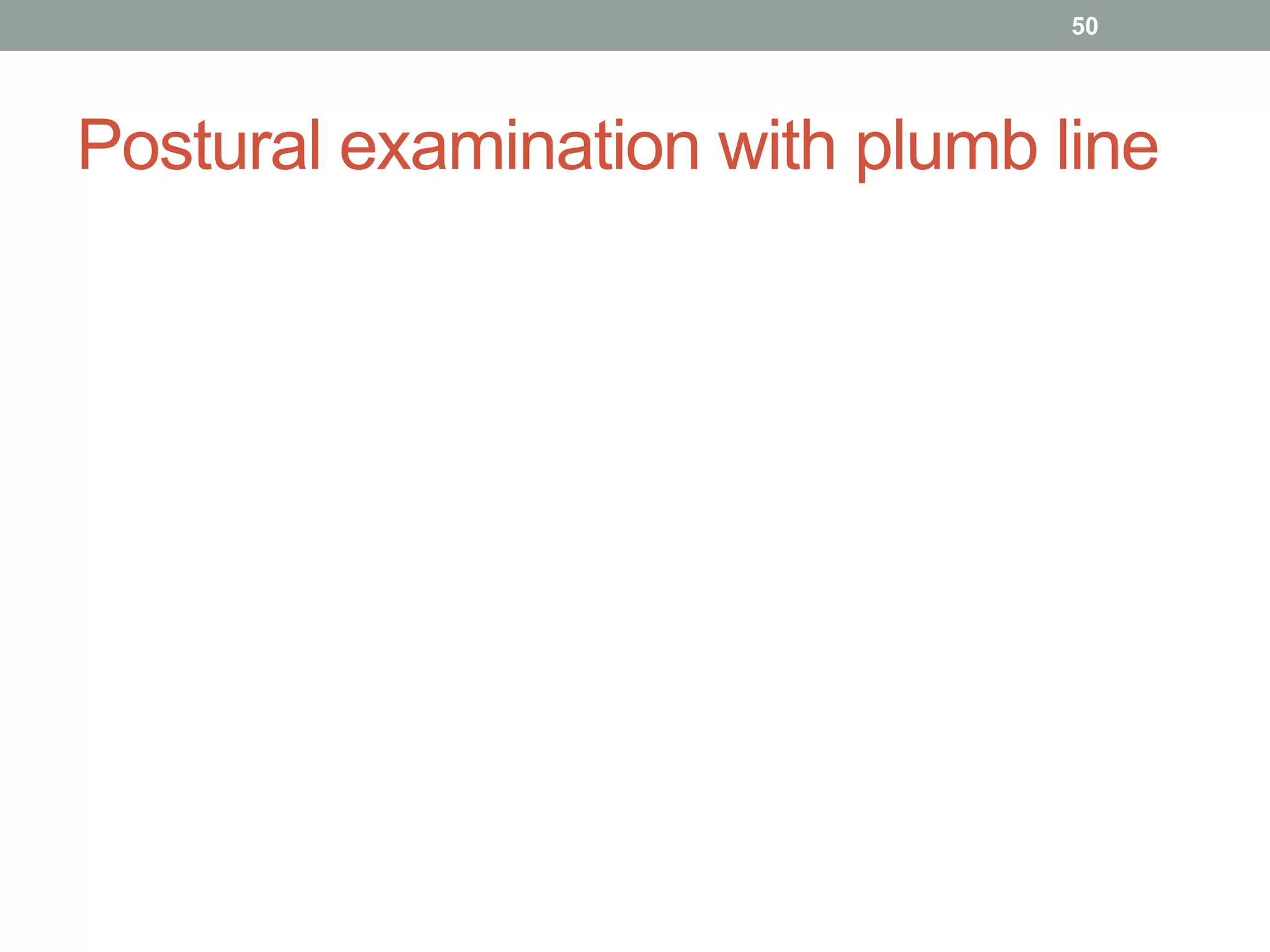 Postural examination with plumb line
50
 