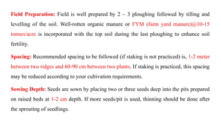 Field Preparation: Field is well prepared by 2 – 3 ploughing followed by tilling and
levelling of the soil. Well-rotten organic manure or FYM (farm yard manure)@10-15
tonnes/acre is incorporated with the top soil during the last ploughing to enhance soil
fertility.
Spacing: Recommended spacing to be followed (if staking is not practiced) is, 1-2 meter
between two ridges and 60-90 cm between two plants. If staking is practiced, this spacing
may be reduced according to your cultivation requirements.
Sowing Depth: Seeds are sown by placing two or three seeds deep into the pits prepared
on raised beds at 1-2 cm depth. If more seeds/pit is used, thinning should be done after
the sprouting of seedlings.
 
