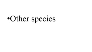 •Other species
 