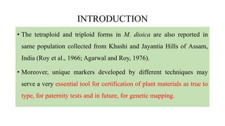 INTRODUCTION
• The tetraploid and triploid forms in M. dioica are also reported in
same population collected from Khashi and Jayantia Hills of Assam,
India (Roy et al., 1966; Agarwal and Roy, 1976).
• Moreover, unique markers developed by different techniques may
serve a very essential tool for certification of plant materials as true to
type, for paternity tests and in future, for genetic mapping.
 