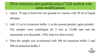 DNA extraction and quantification-CTAB method with
some modifications.
1. Aprox. 70 mg of fresh leaf was ground in a mortar with 50 ml of liquid
nitrogen.
2. Add 1.5 ml of extraction buffer 1, to the ground powder, again grinded .
The samples were centrifuged for 5 min at 12,000 rpm and the
supernatant was discarded. (This step was done twice)
3. Then the sample was re-extracted with 300 ml extraction buffer 2 and
200 ml extraction buffer 3
 