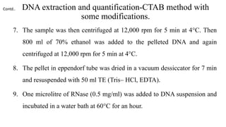DNA extraction and quantification-CTAB method with
some modifications.
7. The sample was then centrifuged at 12,000 rpm for 5 min at 4°C. Then
800 ml of 70% ethanol was added to the pelleted DNA and again
centrifuged at 12,000 rpm for 5 min at 4°C.
8. The pellet in eppendorf tube was dried in a vacuum dessiccator for 7 min
and resuspended with 50 ml TE (Tris– HCl, EDTA).
9. One microlitre of RNase (0.5 mg/ml) was added to DNA suspension and
incubated in a water bath at 60°C for an hour.
Contd..
 