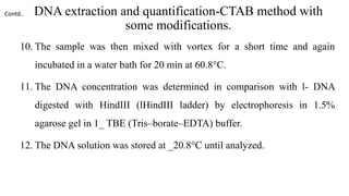 DNA extraction and quantification-CTAB method with
some modifications.
10. The sample was then mixed with vortex for a short time and again
incubated in a water bath for 20 min at 60.8°C.
11. The DNA concentration was determined in comparison with l- DNA
digested with HindIII (lHindIII ladder) by electrophoresis in 1.5%
agarose gel in 1_ TBE (Tris–borate–EDTA) buffer.
12. The DNA solution was stored at _20.8°C until analyzed.
Contd..
 