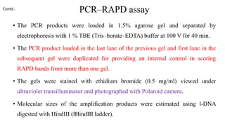 PCR–RAPD assay
• The PCR products were loaded in 1.5% agarose gel and separated by
electrophoresis with 1 % TBE (Tris–borate–EDTA) buffer at 100 V for 40 min.
• The PCR product loaded in the last lane of the previous gel and first lane in the
subsequent gel were duplicated for providing an internal control in scoring
RAPD bands from more than one gel.
• The gels were stained with ethidium bromide (0.5 mg/ml) viewed under
ultraviolet transilluminator and photographed with Polaroid camera.
• Molecular sizes of the amplification products were estimated using l-DNA
digested with HindIII (lHindIII ladder).
Contd..
 