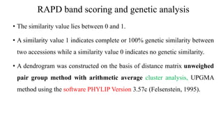 RAPD band scoring and genetic analysis
• The similarity value lies between 0 and 1.
• A similarity value 1 indicates complete or 100% genetic similarity between
two accessions while a similarity value 0 indicates no genetic similarity.
• A dendrogram was constructed on the basis of distance matrix unweighed
pair group method with arithmetic average cluster analysis, UPGMA
method using the software PHYLIP Version 3.57c (Felsenstein, 1995).
 
