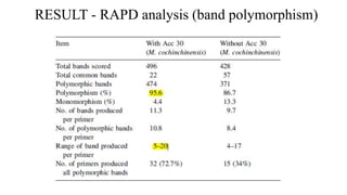 RESULT - RAPD analysis (band polymorphism)
 