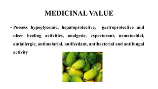 MEDICINAL VALUE
• Possess hypoglycemic, hepatoprotective, gastroprotective and
ulcer healing activities, analgesic, expectorant, nematocidal,
antiallergic, antimalarial, antifeedant, antibacterial and antifungal
activity
 