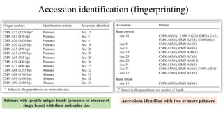 Accession identification (fingerprinting)
Accessions identified with two or more primersPrimers with specific unique bands (presence or absence of
single band) with their molecular size
 