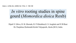 In vitro rooting studies in spine
gourd (Momordica dioica Roxb)
Dipali V. Ghive, R. B. Ghorade, R. P. Khedekar,G. S. Jeughale and N.W.Raut
Dr. Panjabrao Deshmukh Krishi Vidyapeeth, Akola (M.S.) India
Asian J. of Bio Sci. (2006) Vol. 1 No. 2 : 146-148
 