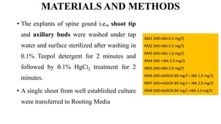 MATERIALS AND METHODS
• The explants of spine gourd i.e., shoot tip
and axillary buds were washed under tap
water and surface sterilized after washing in
0.1% Teepol detergent for 2 minutes and
followed by 0.1% HgCl2 treatment for 2
minutes.
• A single shoot from well established culture
were transferred to Rooting Media
RM1 (MS+IBA 0.2 mg/l)
RM2 (MS+IBA 0.5 mg/l)
RM3 (MS+IBA 1.0 mg/l)
RM4 (MS +IBA 2.0 mg/l)
RM5 (MS+IBA 3.0 mg/l)
RM6 (MS+AdSO4 80 mg/l + IBA 1.0 mg/l)
RM7 (MS+AdSO4 80 mg/l + IBA 2.0 mg/l)
RM8 (MS+AdSO4 80 mg/l +IBA 3.0 mg/l)
 
