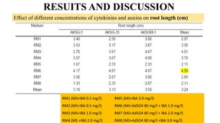 RESUITS AND DISCUSSION
Effect of different concentrations of cytokinins and auxins on root length (cm)
RM1 (MS+IBA 0.2 mg/l)
RM2 (MS+IBA 0.5 mg/l)
RM3 (MS+IBA 1.0 mg/l)
RM4 (MS +IBA 2.0 mg/l)
RM5 (MS+IBA 3.0 mg/l)
RM6 (MS+AdSO4 80 mg/l + IBA 1.0 mg/l)
RM7 (MS+AdSO4 80 mg/l + IBA 2.0 mg/l)
RM8 (MS+AdSO4 80 mg/l +IBA 3.0 mg/l)
 