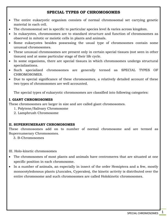 SPECIAL CHROMOSOMES | PDF