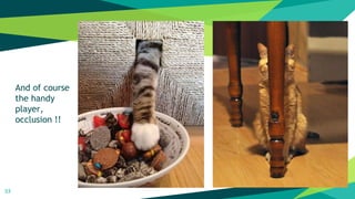 33
And of course
the handy
player,
occlusion !!
 